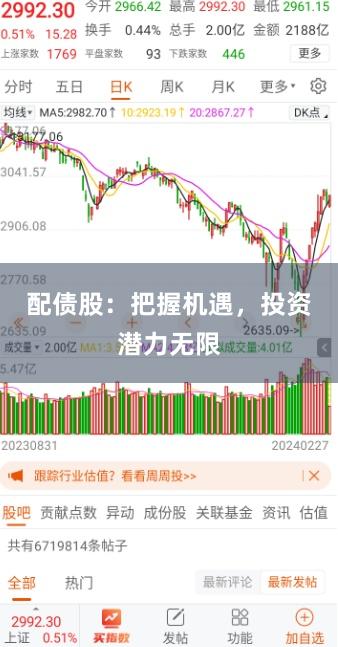 配债股：把握机遇，投资潜力无限